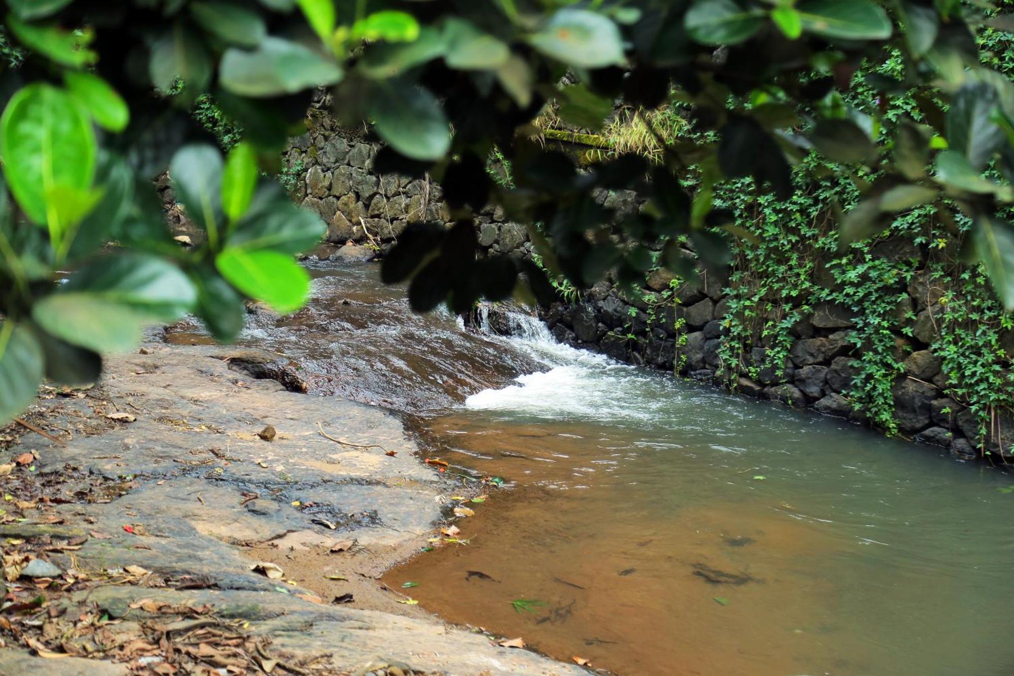 Snow Hills Resorts Thekkady Buitenkant foto
